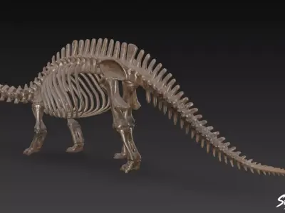 Apatosaurus fossil   Low-poly 3D model
