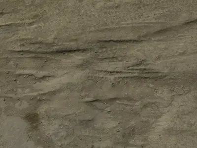 mudground01 sand texture 3D model