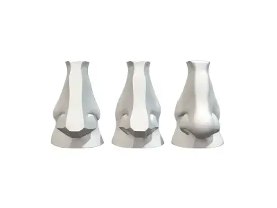 Planes of The Nose 3D model