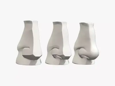 Planes of The Nose 3D model