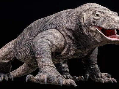  Komodo Dragon Detailed Rigged PBR 