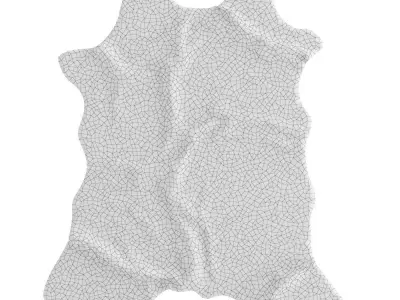 Animal skin rug 14 3D model