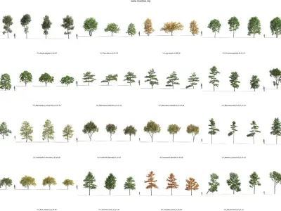 Maxtree Plant Models Vol 11 - Mesh 3D model