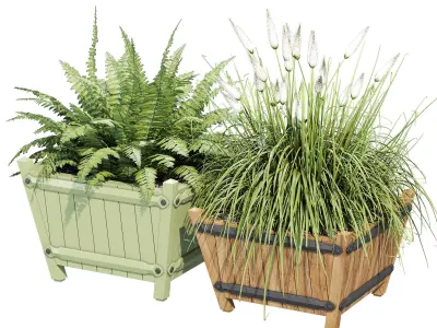 Exeter two planters with ferns and grasses 3D model