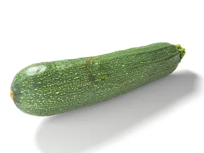 Zucchini  Courgette - Photorealistic  Scan Low-poly 3D model
