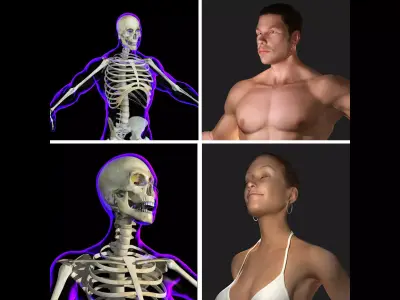 Full Male And Female Body X-Ray 3D model