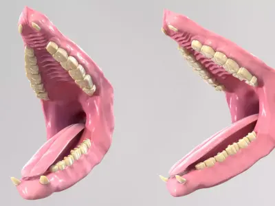 Rhino Mouth 3D model