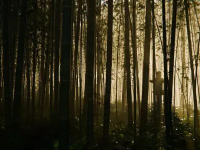 Bamboo Forest 3d Scene 3D model