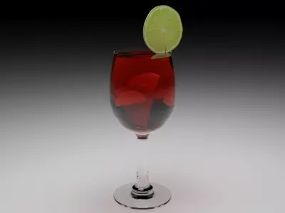 Sangria Wine 3D model