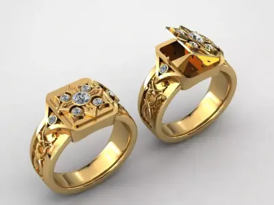 hidden ring 3D print model