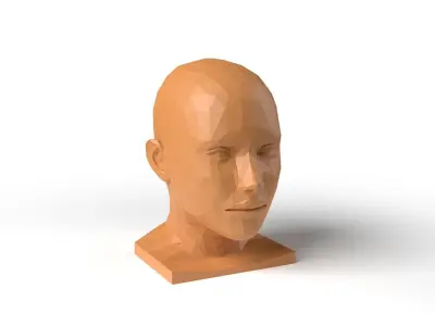 HumanHead Low Poligonal Low-poly 3D model