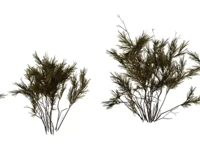 Stylized Rosemary Shrub Pack  Low-poly 3D model