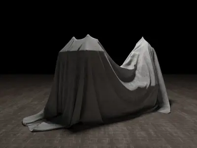 Fabric Cover PACK 20 Meshes 3D model