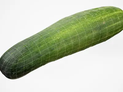 Cucumber - Photorealistic Scan Low-poly 3D model