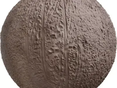 Rugged Beach Sand with Tire Tracks  Texture