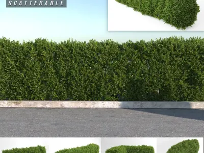  Scatterable Hedges Collection 