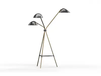 Curvilinear Tripod Floor Lamp 3D model