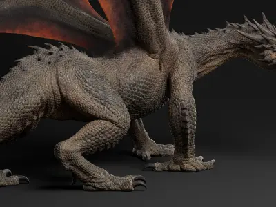  Dragon Adult Rigged 