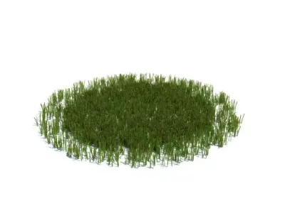 Grass That Fits Well Onto Floor Surface 3D model