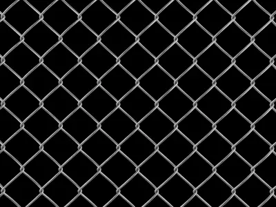 Wire Fence 3D model
