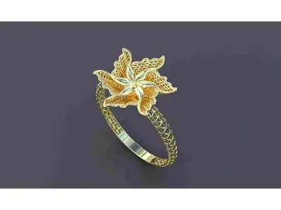 50 ring turkish pakistani ring jali design ring 3D print model