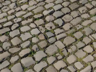 Mossy Medieval Cobblestone PBR Texture  Texture