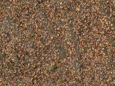 Autumn leaves 3D model