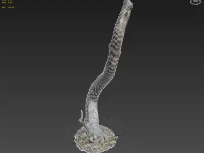 3d scanned nature forest roots 008 3D model