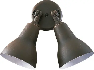 Balmorhea Spot Light 3D model