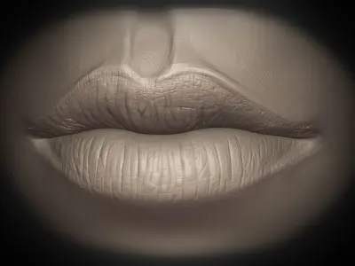 Lips Detail Alpha Pack 3D model