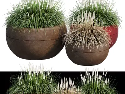 Aladin three potted grasses 3D model