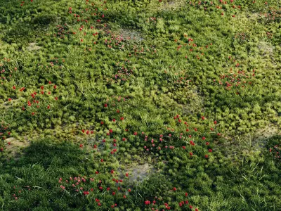 landscape Set 3D Model Pack