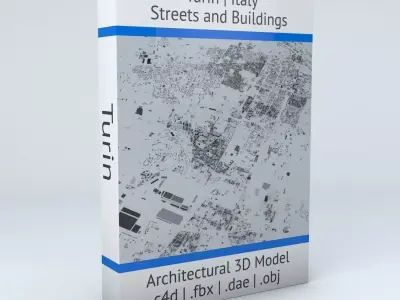 Turin Streets and Buildings 3D model