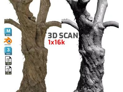 Old Lilac Tree 2 RAW 3DSCAN 1x 16384 1x 8192 Textures 3D model