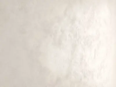 Decorative plaster v11 Texture