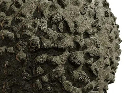 Concrete Seamless Texture 2K - EXR 5 - JPG 5 Texture Texture 17