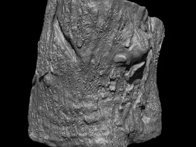 Tree Stump - High Poly Sculpt 3D model
