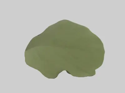 Leaf Model Low-poly 3D model purchase