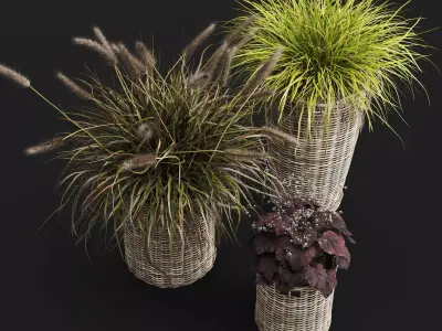 Decorative Grasses in Wicker Baskets 3D model