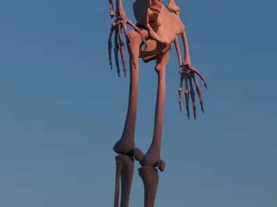 Skeleton on the water 3D model