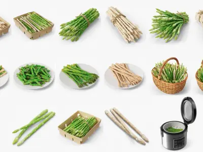  Asparagus Spears Big Collection 