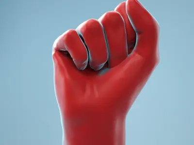  13 Female Hands Collection 