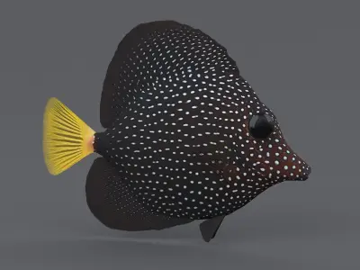  Coral Reef Fish Collection 