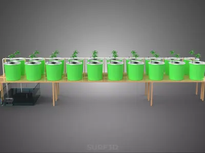 DIY DUTCH BUCKET HYDROPONIC SYSTEM SETUP GREENHOUSE BATO GARDEN 3D model