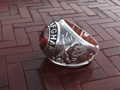 ring afghan 3D print model