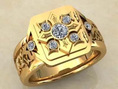 hidden ring 3D print model