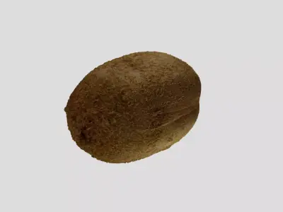 Kiwi Fruit 3D model