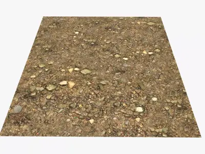 River Bottom Texture Texture