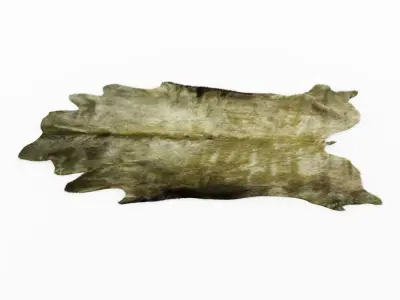 Green Cowhide Rug 3D model