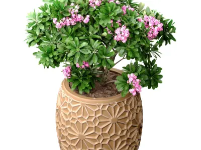 Decorative flowering garden tree oriental  bush pot flowerpot 3D model
